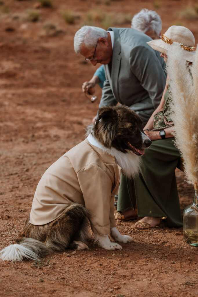 dog sits with guests at The Red Earth Venue wedding