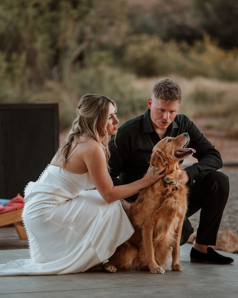 couple pets dog at wedding