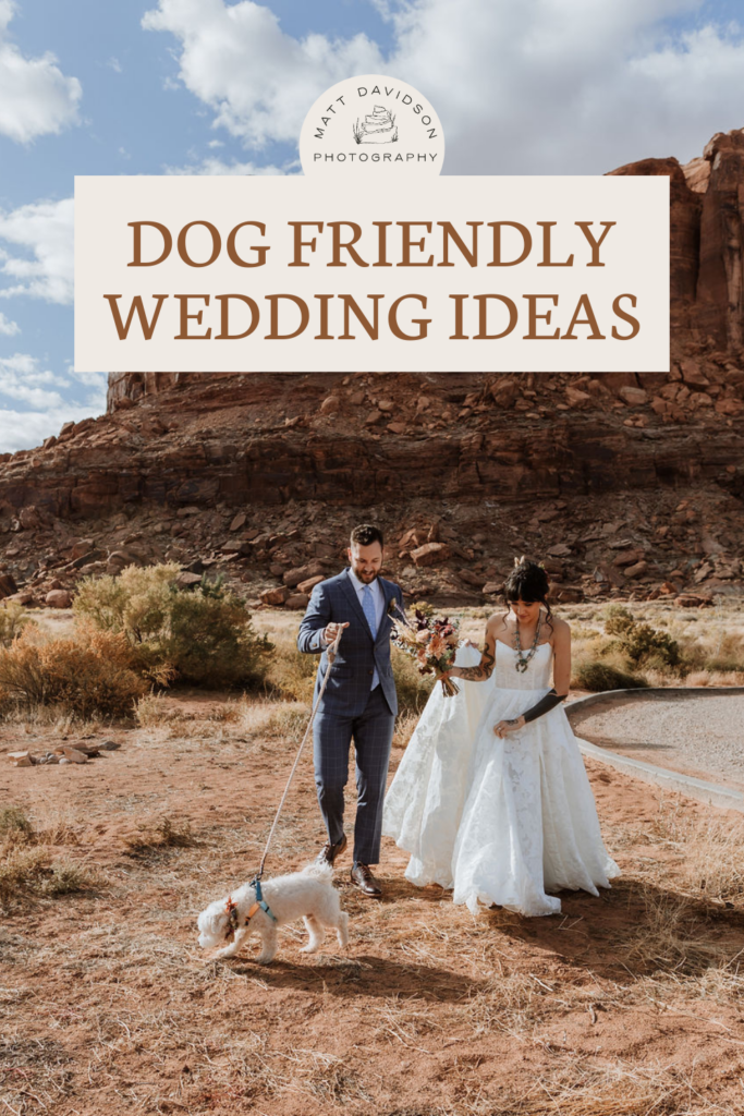 Bride and Groom walk their dog at desert elopement