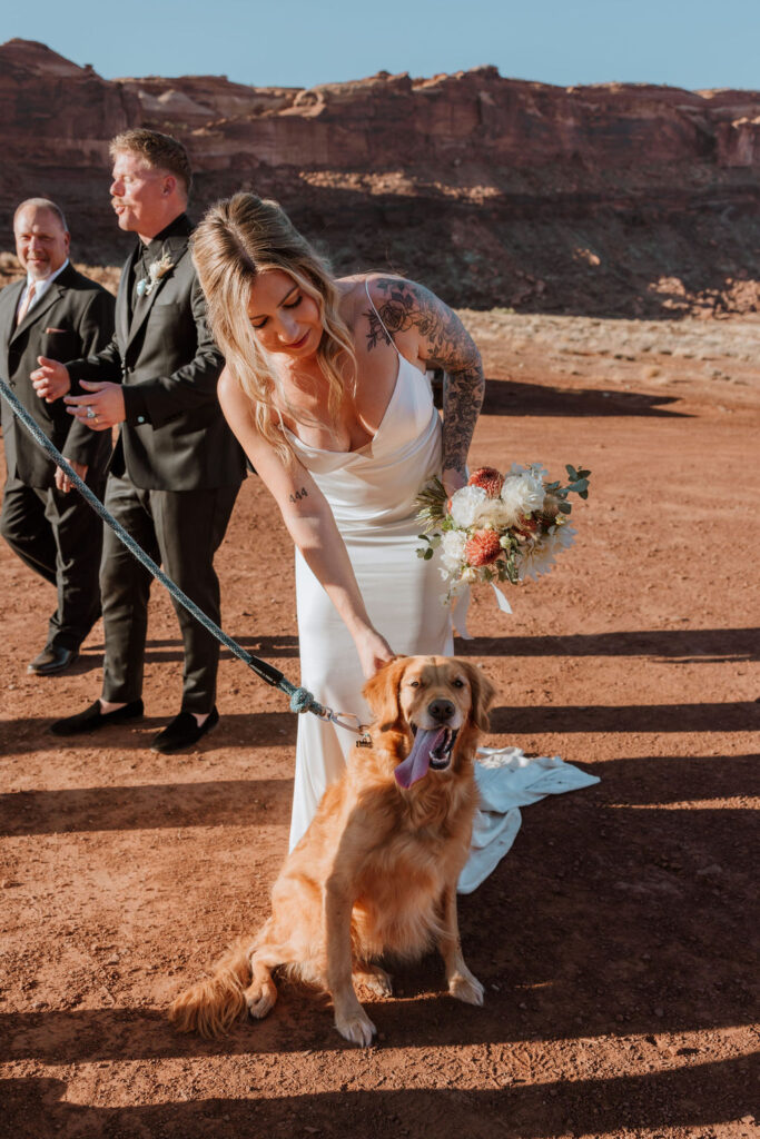 bride pets dog at wedding ceremony