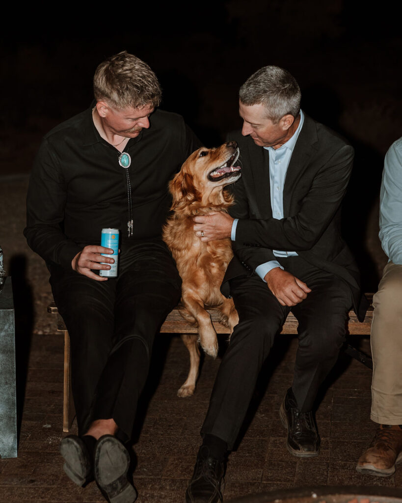 wedding guests pet dog at reception