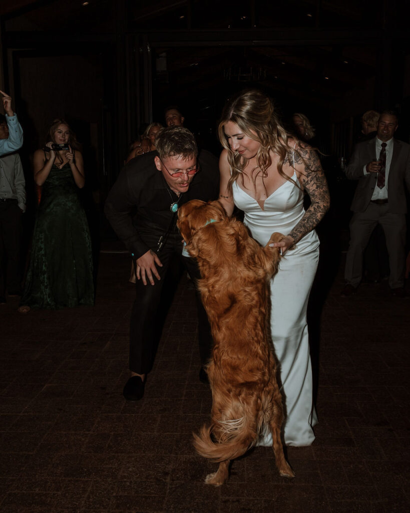 couple dances with dog at wedding reception