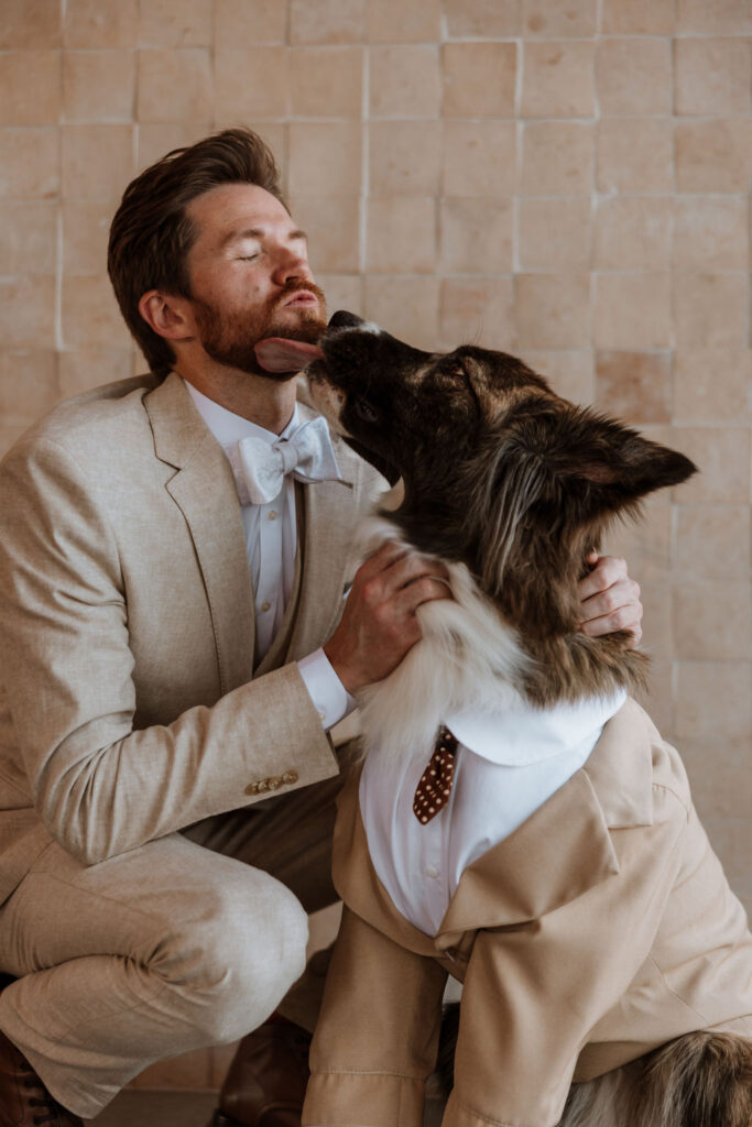 dog kisses groom wearing dog tuxedo