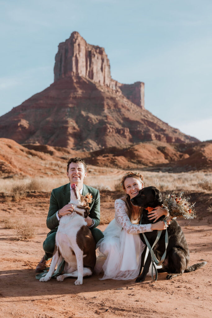 Elopement couple poses with their dogs on their wedding day