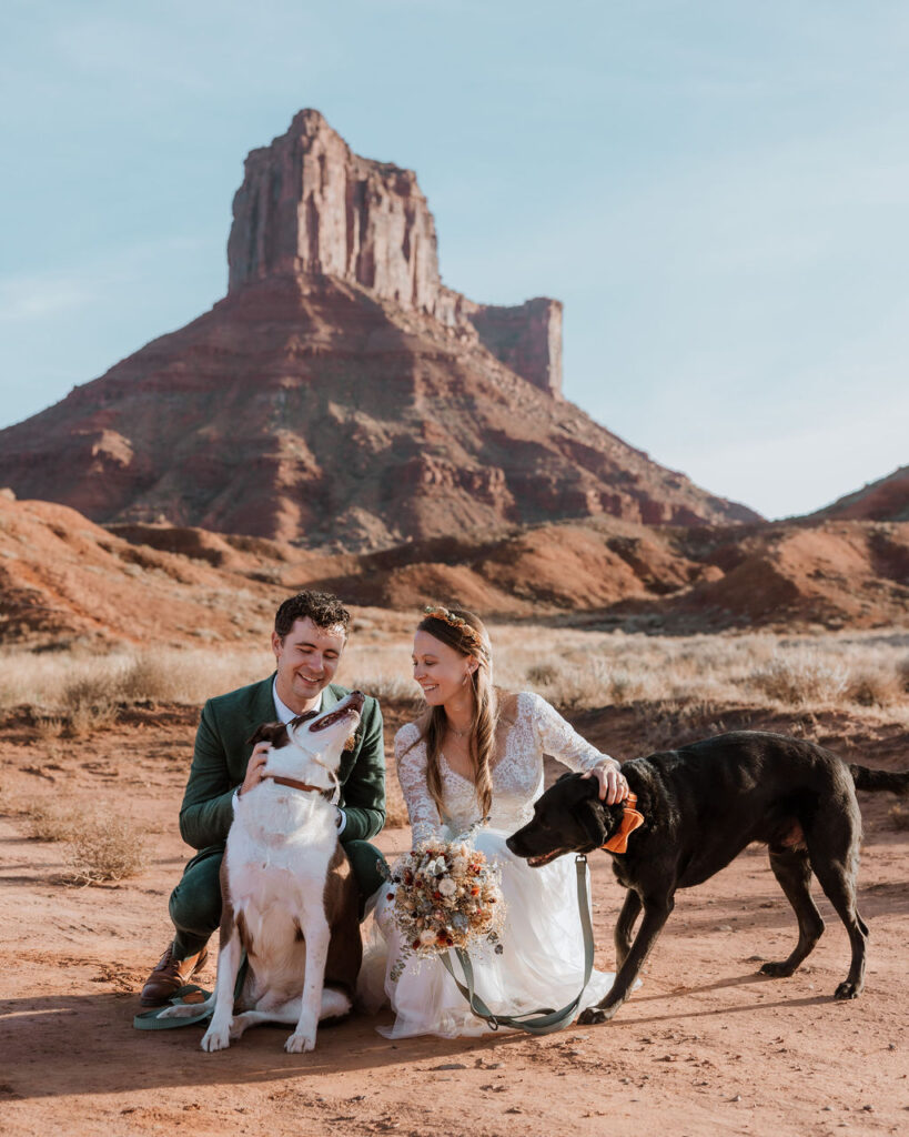 Elopement couple poses with their dogs on their wedding day