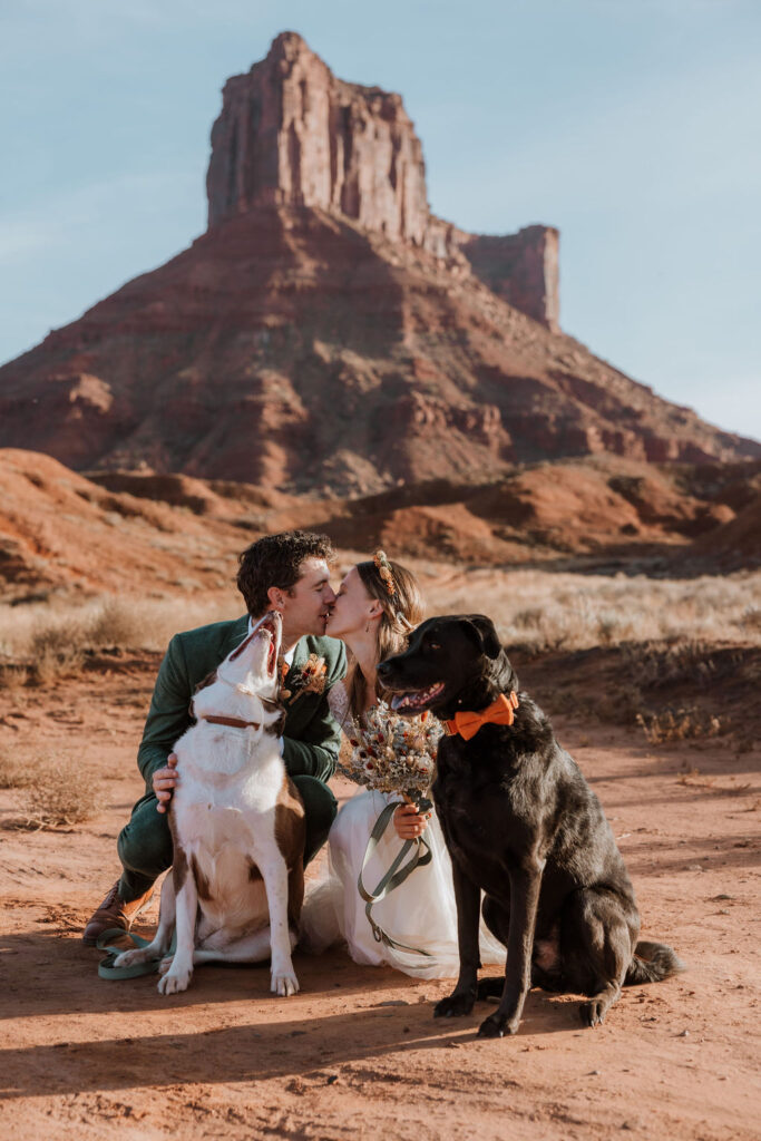 Elopement couple poses with their dogs on their wedding day