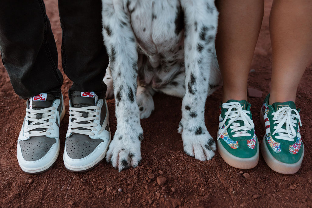 Close-up of two pairs of sneakers and dogs paws in red dirt