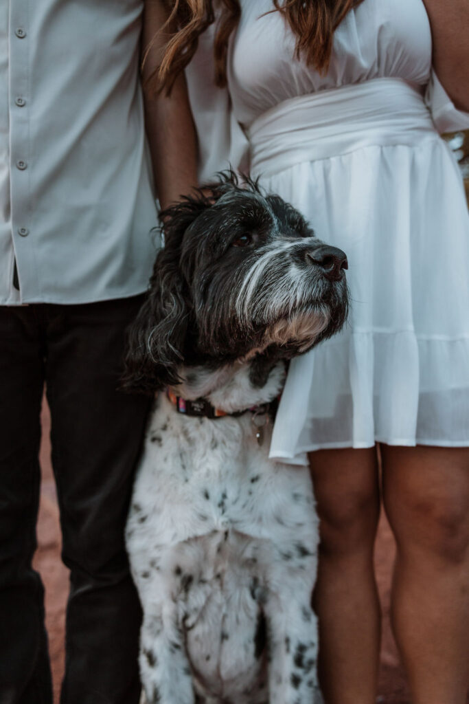 couple poses with dog at Dead Horse Point 